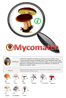 Mycomatch