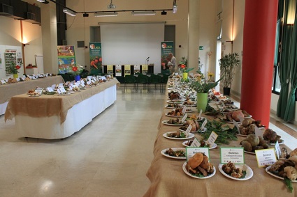 Lezioni in sede