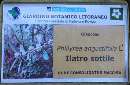 Lezioni in sede