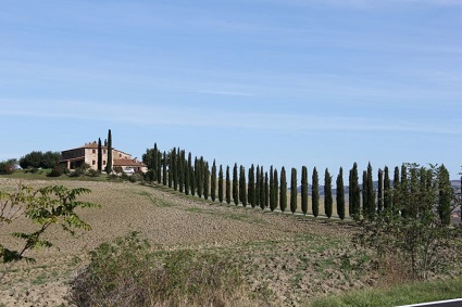 Lezioni in sede