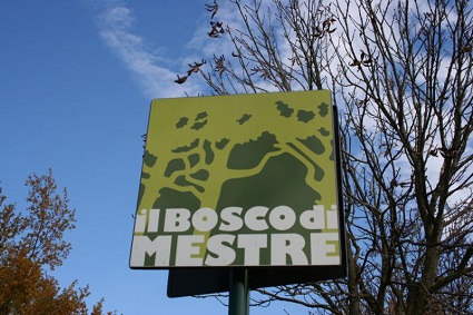Lezioni in sede