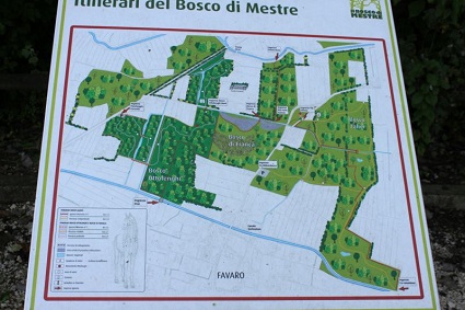Lezioni in sede