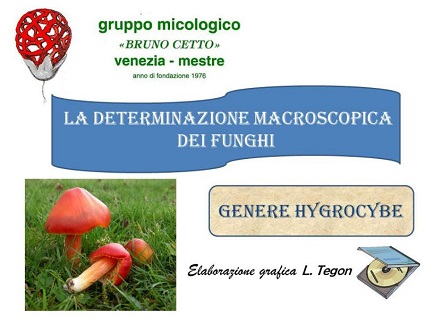 Lezioni in sede
