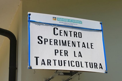 Lezioni in sede