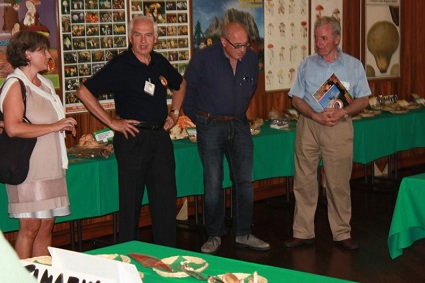 Lezioni in sede