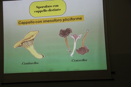 Lezioni in sede