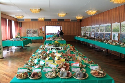 Lezioni in sede