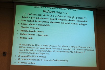 Lezioni in sede