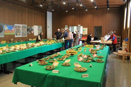 Lezioni in sede