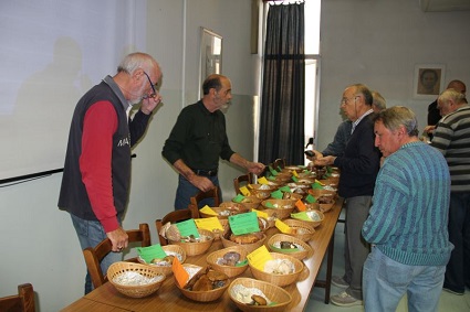 Lezioni in sede