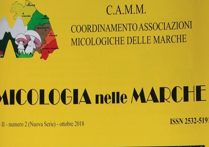 Lezioni in sede