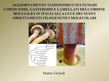Lezioni in sede