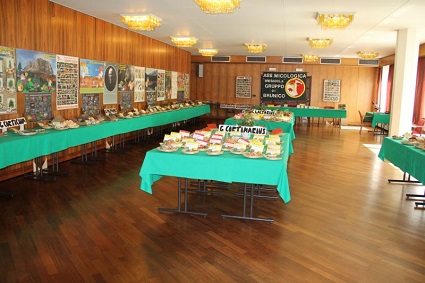 Lezioni in sede