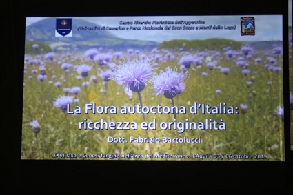Lezioni in sede