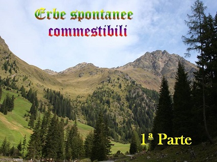 Lezioni in sede