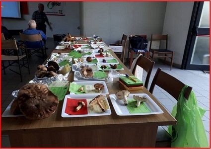 Lezioni in sede