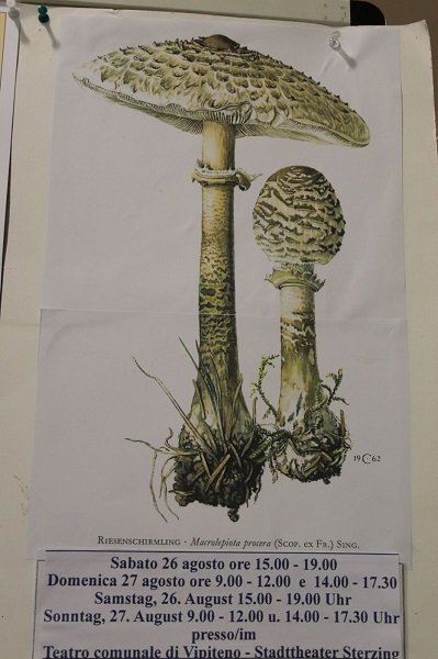 Mostra Micologica Vipiteno
