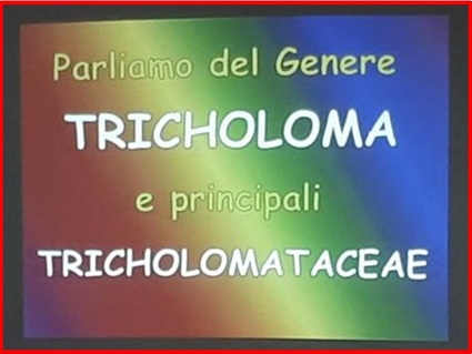 Lezioni in sede