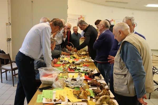 Riapertura sede dopo festività Natalizie
