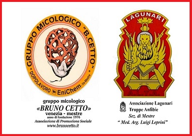 Lezioni in sede