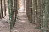 Lezione a Cima Sappada (BL)