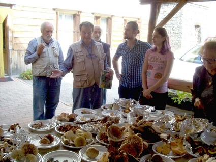 Lezioni in sede