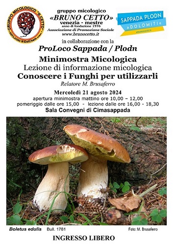 Lezioni di micologia a Cimasappada (BL)