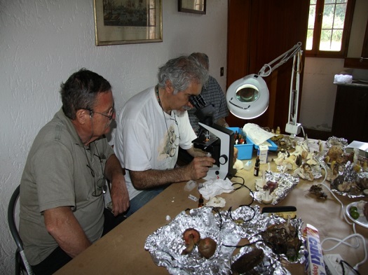 Lezioni in sede