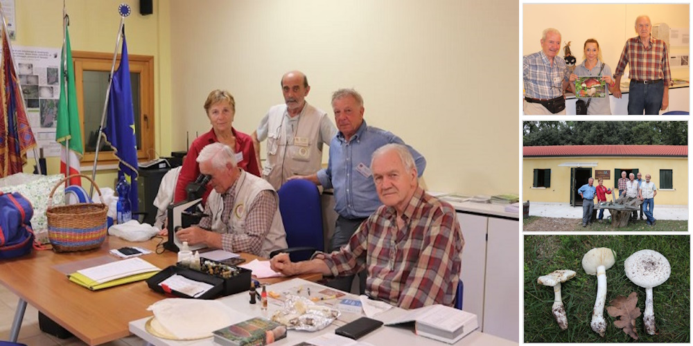 4° Comitato Scientifico 2023 - Bosco Nordio