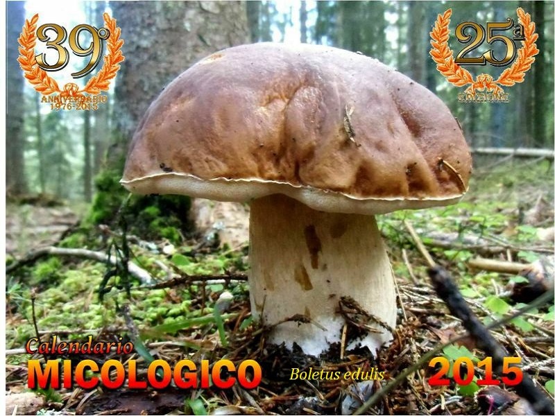 fronte 150
