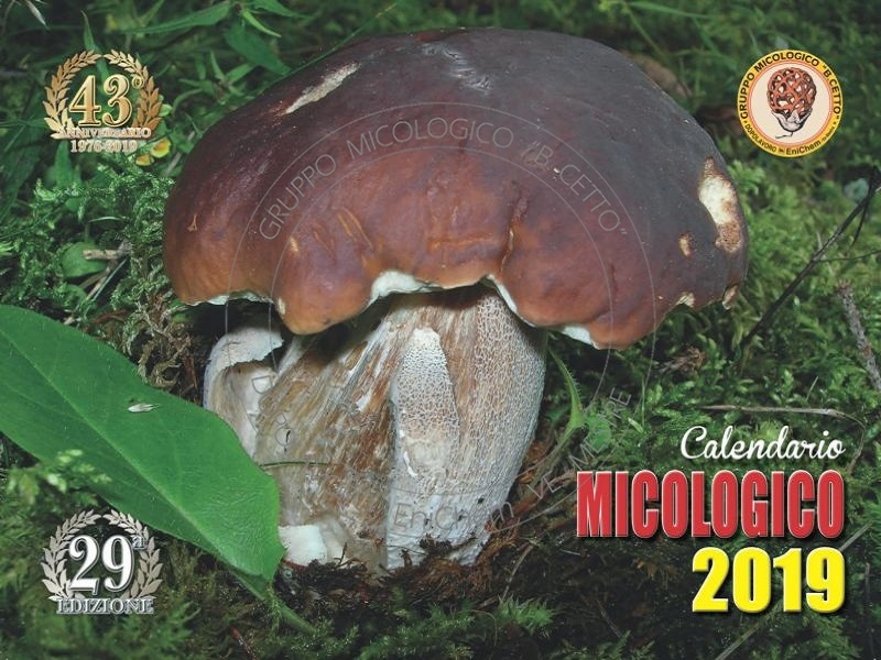 Calendario 2020