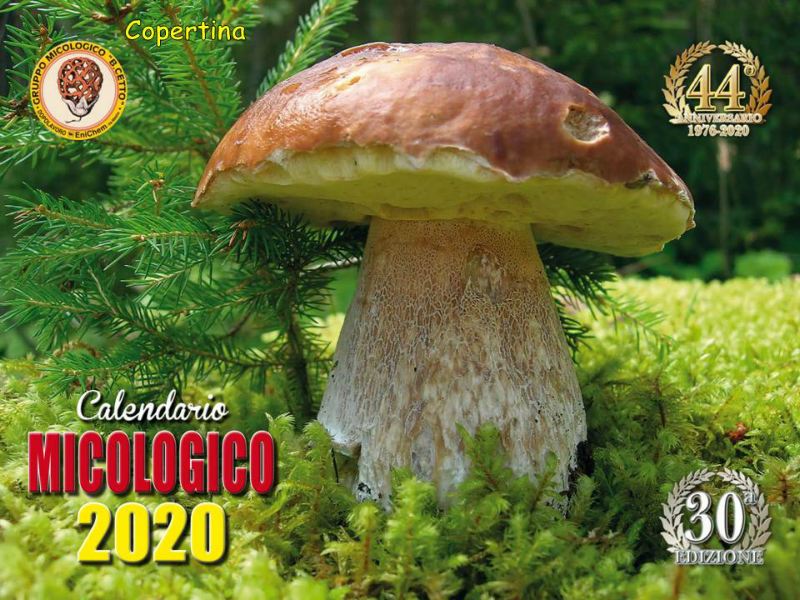 copertina 200