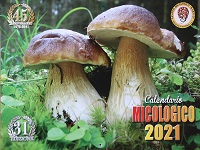 cal2023 01