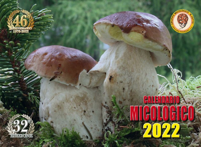 fronte 200