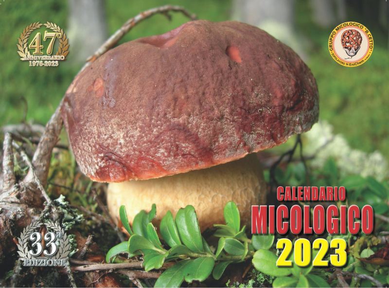 fronte 200