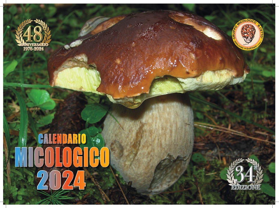 Calendario 2024