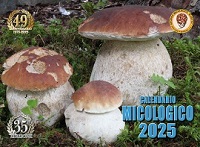 Cal2025 01