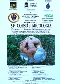 corso 54
