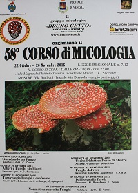 corso 58