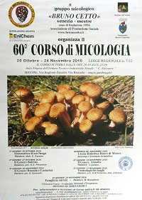 corso 60