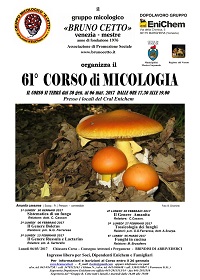 corso 61