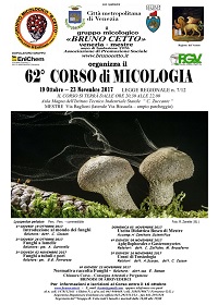 corso 62