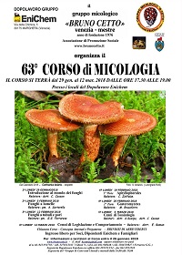 corso 63