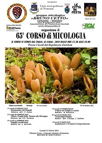 corso 65