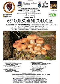 corso 66