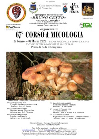corso 67