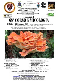 corso 68