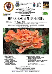 corso 69