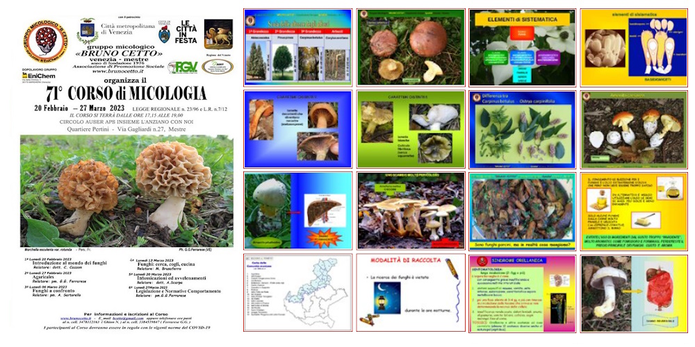 Programma del 70° Corso di Micologia