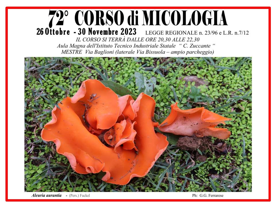 Programma del 72° Corso di Micologia